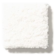Shaw Floors Nfa/Apg Take the Floor Twist Blue White Hot 5.00E+16_00150