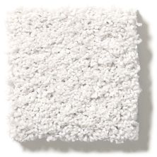 Shaw Floors Nfa/Apg Take the Floor Twist Blue Dove 5.00E+16_00151