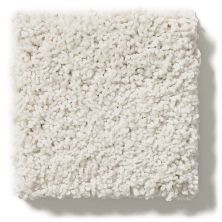 Shaw Floors Nfa/Apg Take the Floor Twist Blue Modern Loft 5.00E+16_00154