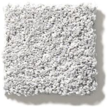 Shaw Floors Nfa/Apg Take the Floor Twist Blue Gray Owl 5.00E+16_00538