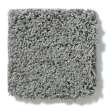 Shaw Floors Nfa/Apg Take the Floor Twist Blue Reflection 5.00E+16_00541