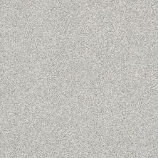 Shaw Floors Nfa Just A Touch II Sterling 00501_NA222
