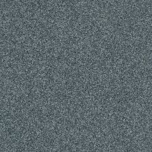 Shaw Floors Pet Perfect Plus Just A Touch II Blue Wing