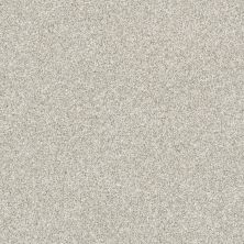 Shaw Floors Nfa Just A Touch II Dreamy Taupe 00708_NA222