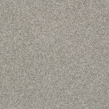 Shaw Floors Pet Perfect Plus Just A Touch II Sterling