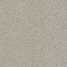 Shaw Floors Nfa Just A Touch II Dreamy Taupe 00708_NA222