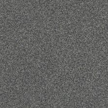 Shaw Floors Pet Perfect Plus Just A Touch II Steel