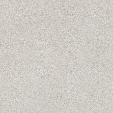 Shaw Floors Pet Perfect Plus Just A Touch II Nickel