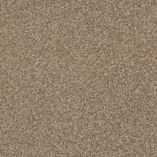 Shaw Floors Pet Perfect Plus Just A Touch II Bronze