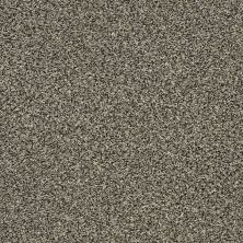 Shaw Floors Nfa Obviously I Portobello