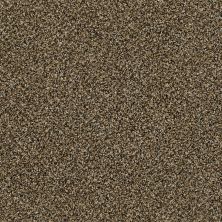 Shaw Floors Nfa Obviously II Gold Rush