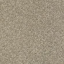 Shaw Floors Nfa Obviously II Khaki