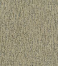 Shaw Floors Nfa Top Pick Chameleon