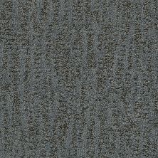 Shaw Floors Nfa Top Pick Steel