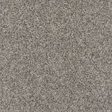 Shaw Floors Nfa Sweet Appeal Castle 00500_NA236