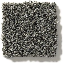 Shaw Floors Sweet Appeal Charmed Hues Meteorite 5.00E+39_00501
