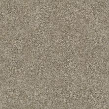 Shaw Floors Nfa Sweet Appeal Wild Truffle 00710_NA236