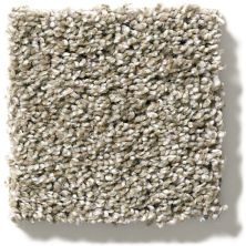Shaw Floors Sweet Appeal Charmed Hues Wild Truffle 5.00E+39_00710