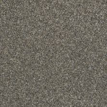 Shaw Floors Nfa You Got It I Granite Dust 00511_NA240