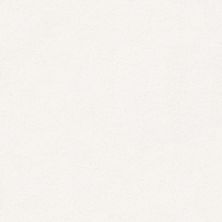 Shaw Floors Nfa/Apg Subtle Charm I Wedding Day (s)