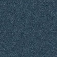 Shaw Floors Nfa/Apg Subtle Charm I Twilight Golf (s)