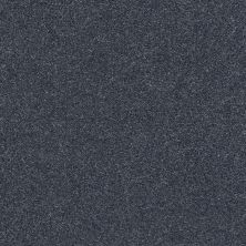 Shaw Floors Nfa/Apg Subtle Charm I Washed Indigo (s)