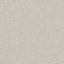 Shaw Floors Nfa/Apg Subtle Charm I Quiet Time (s)