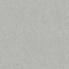 Shaw Floors Nfa/Apg Subtle Charm I Polished Silver (s)