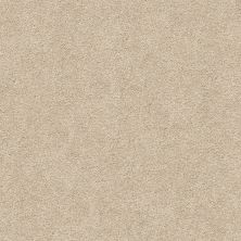 Shaw Floors Nfa/Apg Subtle Charm I Dinner With Friends (s)