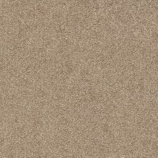 Shaw Floors Nfa/Apg Subtle Charm I Camping Trip (s)