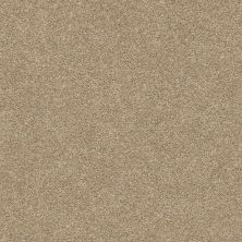 Shaw Floors Nfa/Apg Subtle Charm I Honey Tea (s)