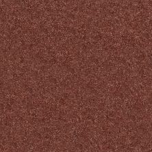 Shaw Floors Nfa/Apg Subtle Charm I Serene Sunset (s)