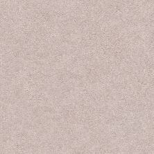 Shaw Floors Nfa/Apg Subtle Charm I Evening In Paris (s)