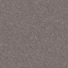 Shaw Floors Nfa/Apg Subtle Charm I Lilac Field (s)