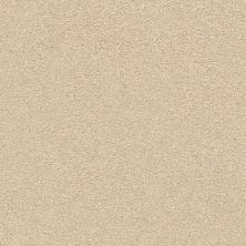 Shaw Floors Nfa/Apg Subtle Charm II Sun Kissed (s)