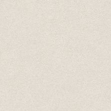 Shaw Floors Nfa/Apg Subtle Charm II Warm Blanket (s)