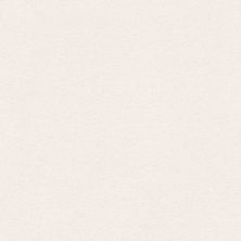 Shaw Floors Nfa/Apg Subtle Charm II Sweet Innocence (s)