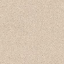 Shaw Floors Nfa/Apg Subtle Charm II Happy Place (s)