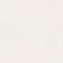 Shaw Floors Nfa/Apg Subtle Charm II Gallery Opening (s)