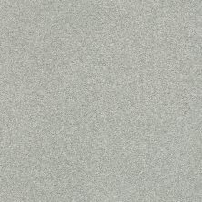 Shaw Floors Nfa/Apg Subtle Charm II Distant Valley (s)