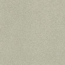 Shaw Floors Nfa/Apg Subtle Charm II Willow Tree (s)