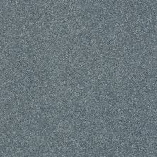 Shaw Floors Nfa/Apg Subtle Charm II Tropical Hideaway (s)