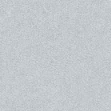 Shaw Floors Nfa/Apg Subtle Charm II Winter Sky (s)