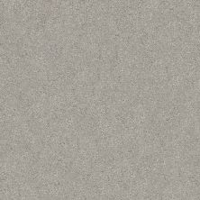 Shaw Floors Nfa/Apg Subtle Charm II Restful Day (s)