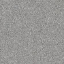 Shaw Floors Nfa/Apg Subtle Charm II Misty Rain (s)