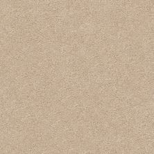 Shaw Floors Nfa/Apg Subtle Charm II Walk On The Beach (s)