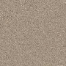 Shaw Floors Nfa/Apg Subtle Charm II Dockside View (s)