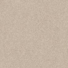 Shaw Floors Nfa/Apg Subtle Charm II My Haven (s)