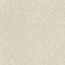 Shaw Floors Nfa/Apg Subtle Charm Tonal I Vintage Quilt (t)