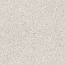 Shaw Floors Nfa/Apg Subtle Charm Tonal I Whitewashed Frame (t)